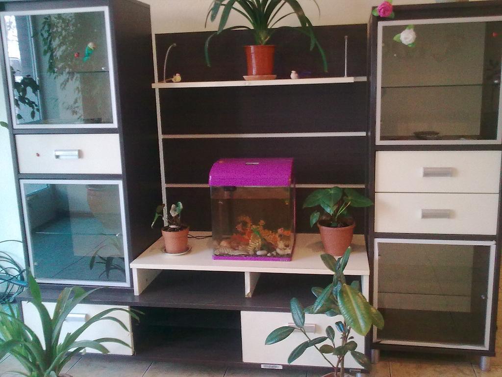 Hostel Raddus-Jss Taškent Exteriér fotografie